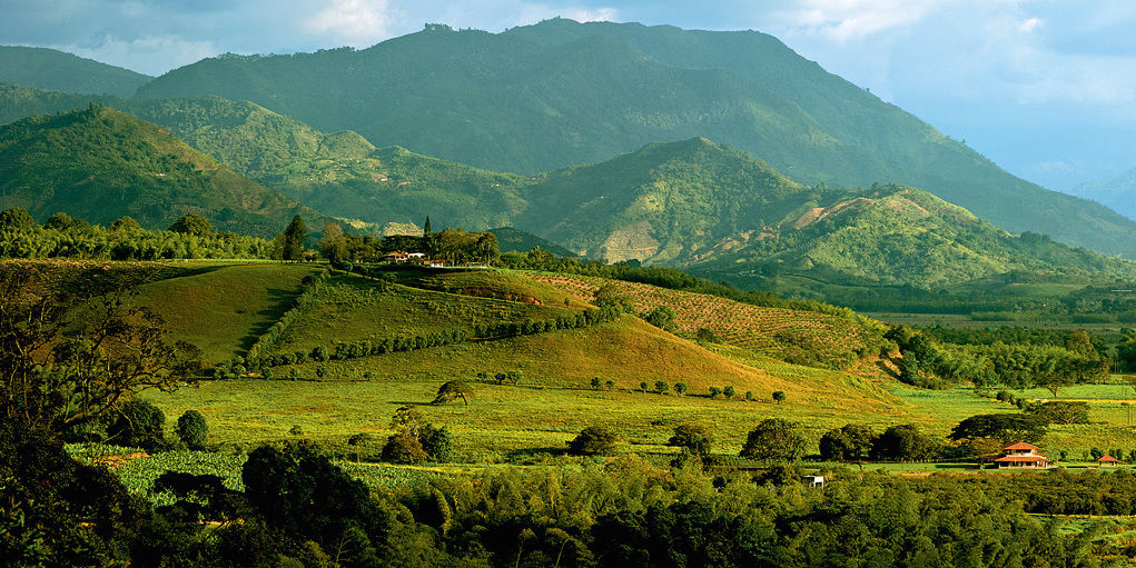 Отель Hacienda Bambusa Эль-Каймо Экстерьер фото